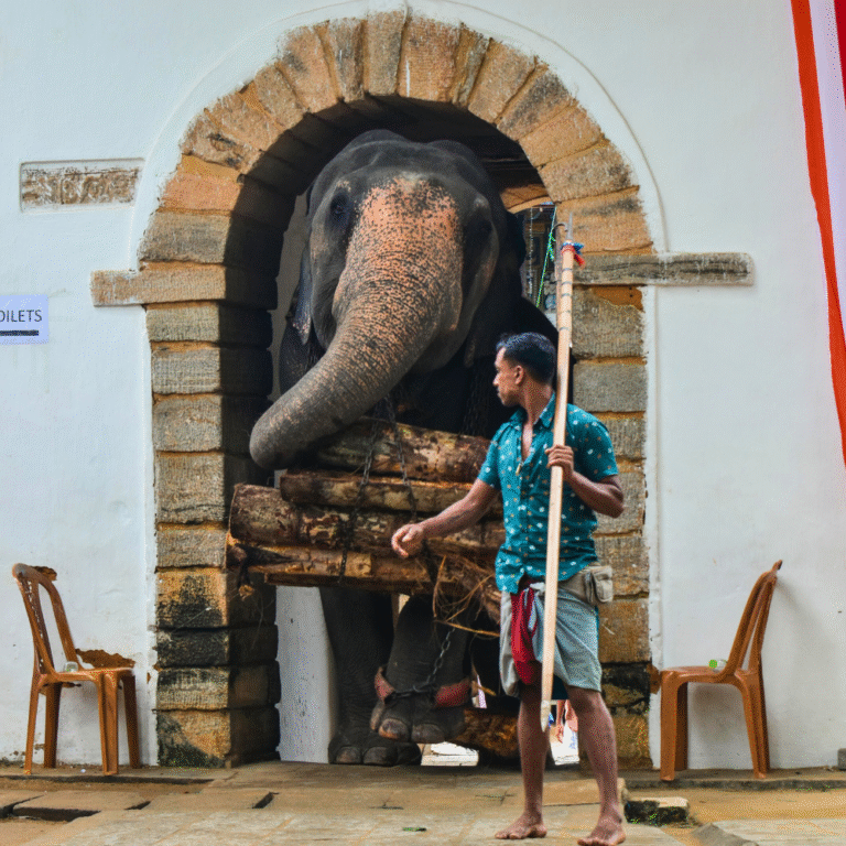 Cultural and religious heritage temple in the heart of Kandy, Sri Lanka