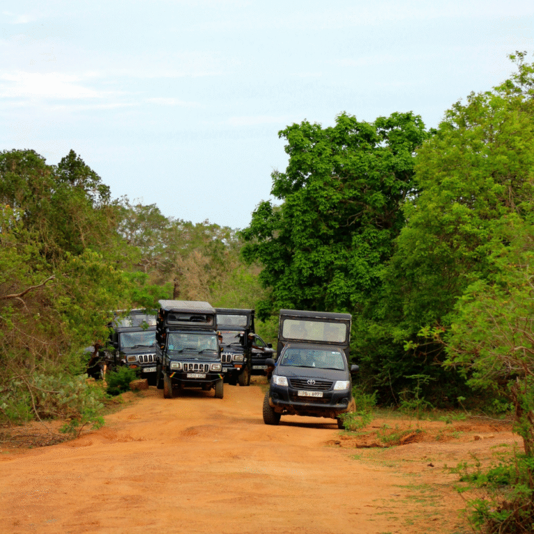 Safari jeep driving through Yala National Park in Sri Lanka