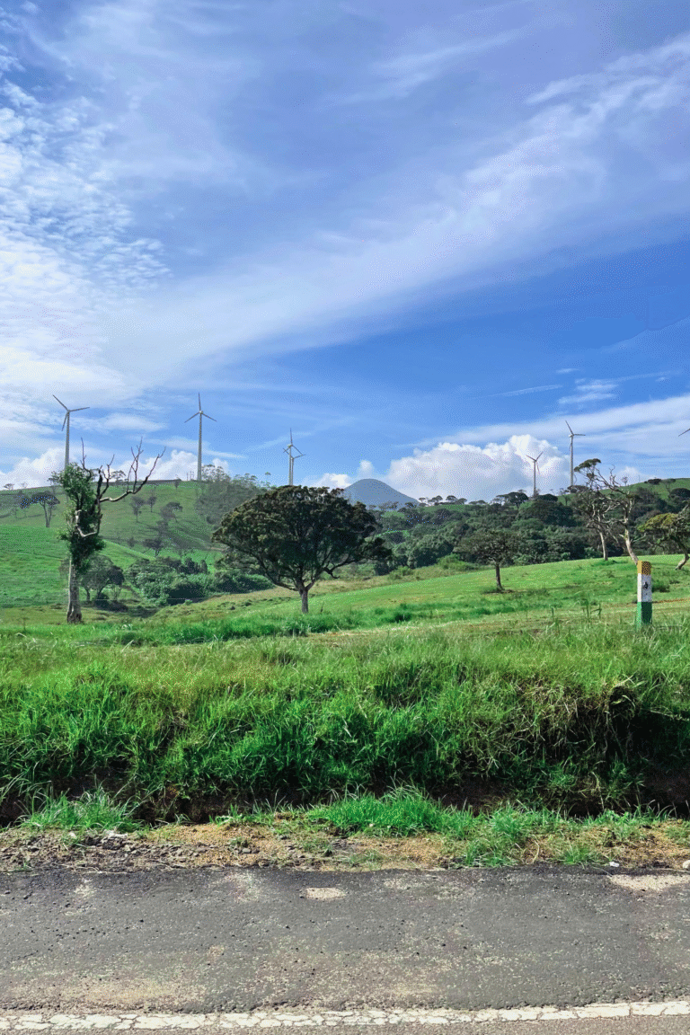 Iconic scenic beauty of Ambewela in central Sri Lanka