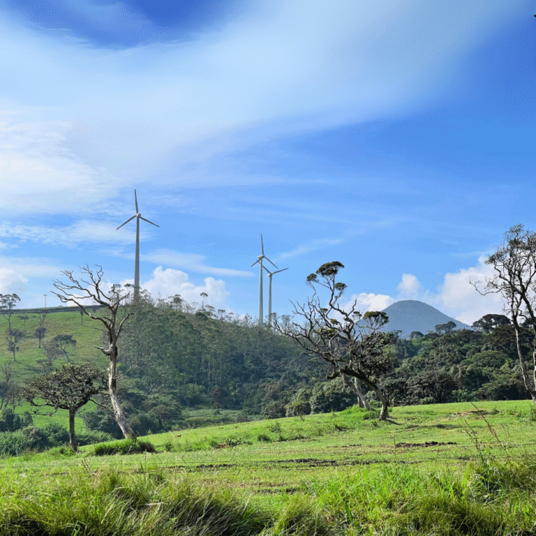Cool climate and misty skies over Ambewela attractions
