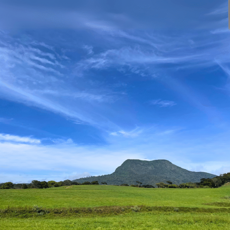 Scenic landscape of Ambewela valley with blue skies and pastures