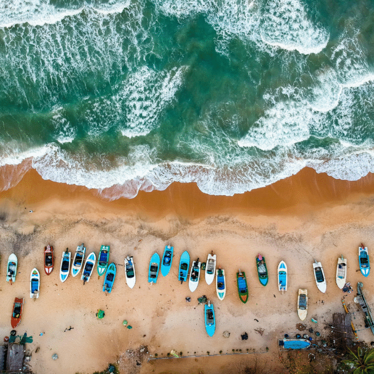 Aerial view of Arugam Bay Beach surrounded by palm trees