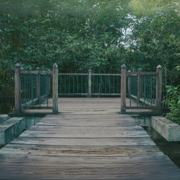 Birdwatching spot at Beddagana Wetland Park with local species in the wild