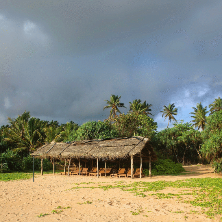 Aerial view of Bentota coastline with turquoise waters and palm trees
