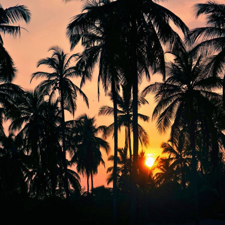 View of Bentota coastline with turquoise waters and palm trees