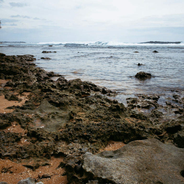 Waves crashing near the rocky shore at Hikkaduw