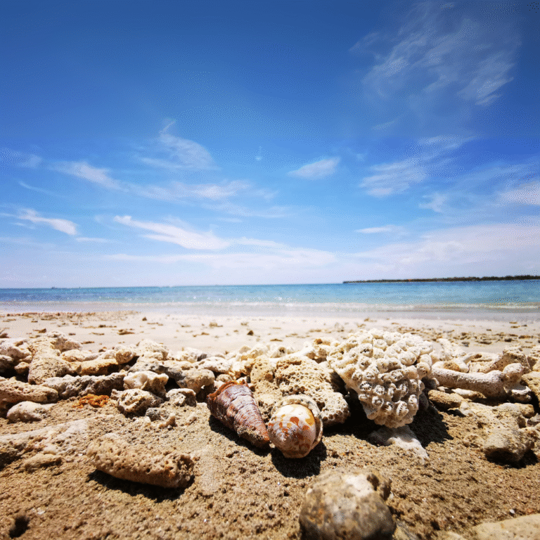 East coast paradise – Kalkudah Beach under clear blue skies