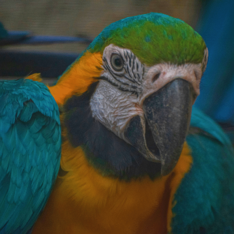 A scenic eco-tourism destination for bird lovers in Sri Lanka