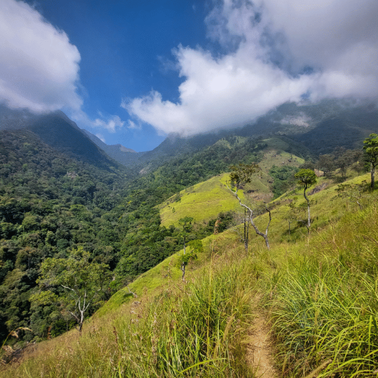 Lanka Ella Waterfall cascading down a rocky cliff in Badulla, Sri Lanka