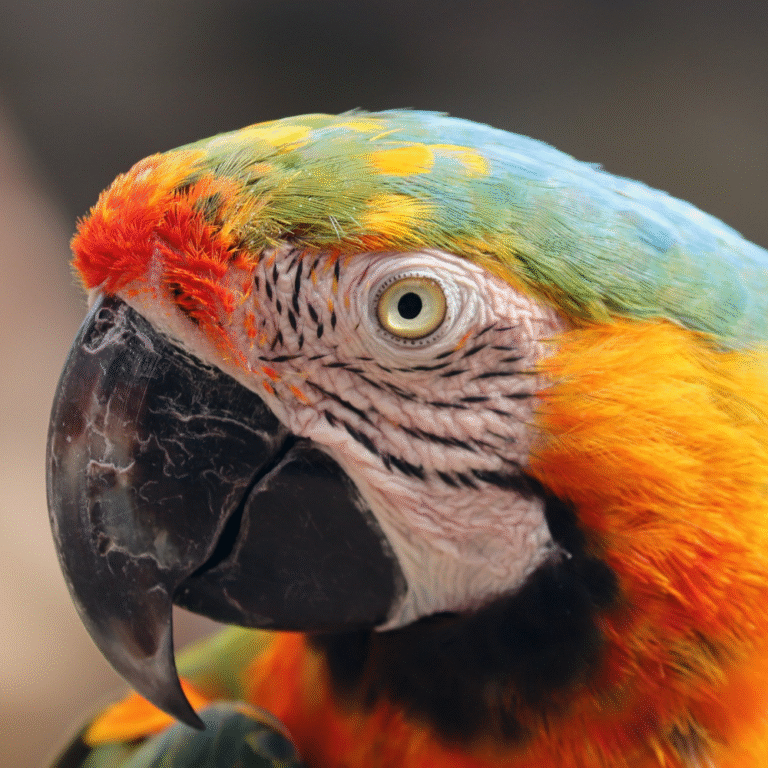 Birds Park Hambantota showcasing native and international species