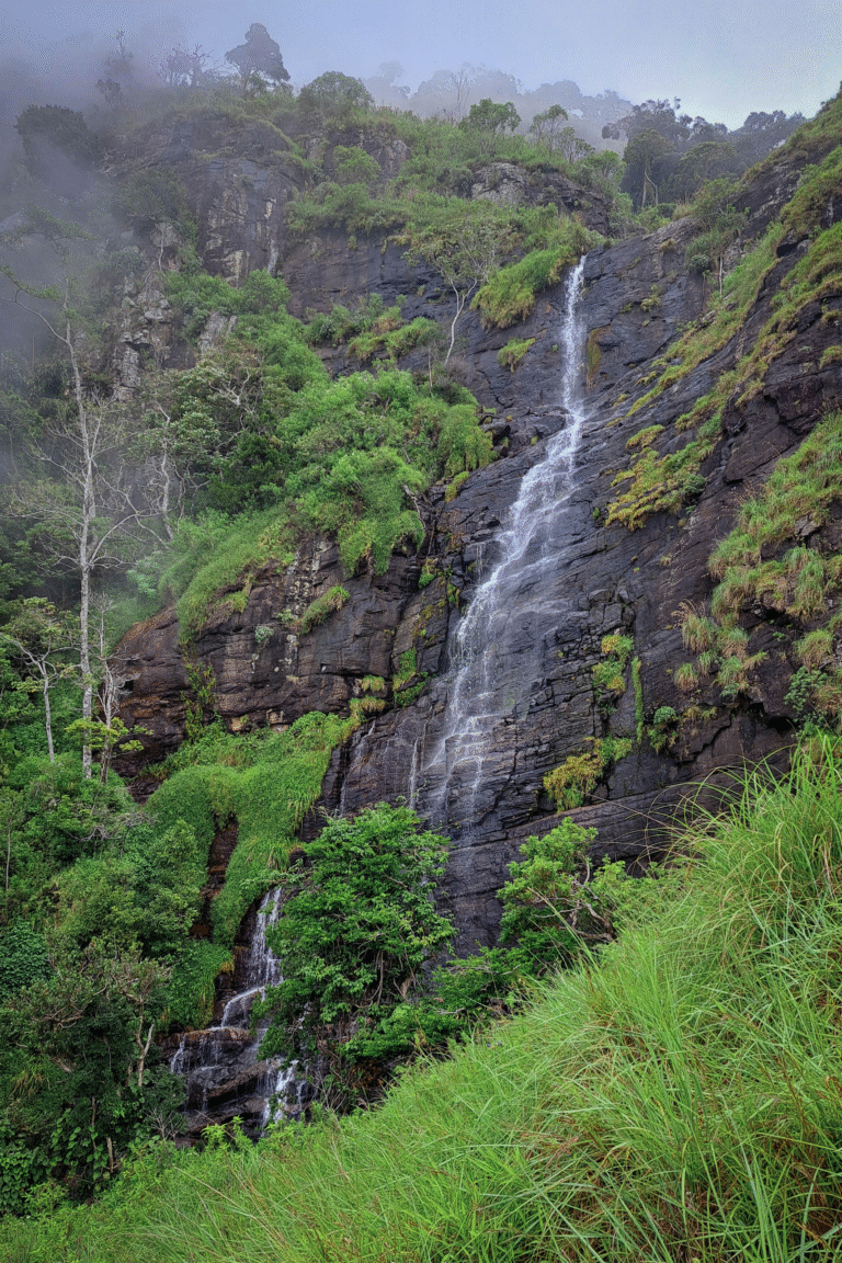 Scenic view of Kalugala Gerandi Ella surrounded by rainforest vegetation