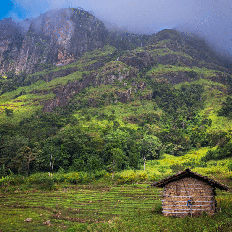 Gerandi Ella Waterfall emerging through thick jungle in Kalugala