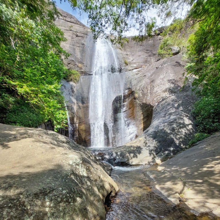 Tranquil view of Lanka Ella surrounded by lush green forest