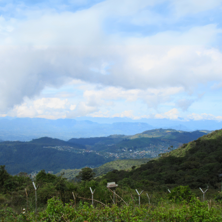 Lush green slopes of Pidurutalagala, Sri Lanka’s tallest mountain