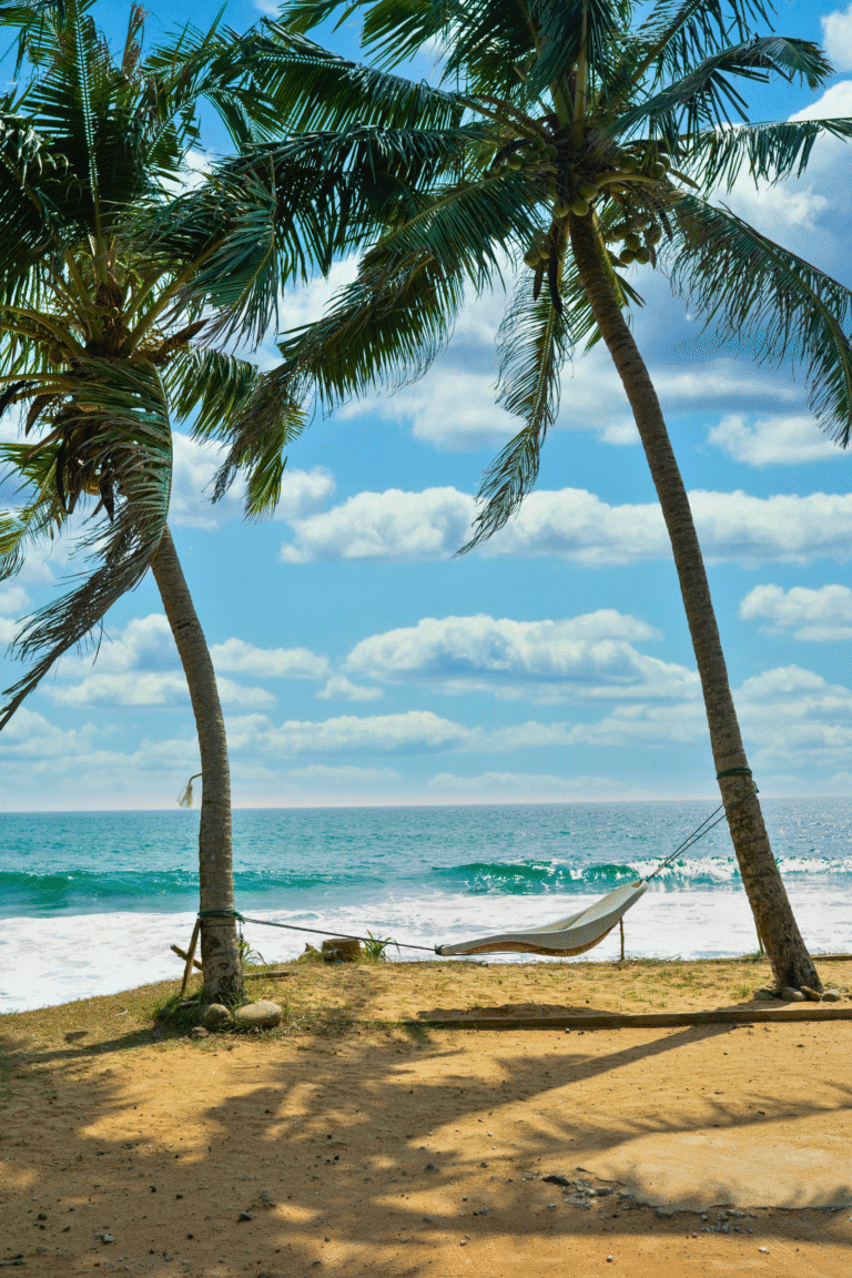 Coconut trees swaying by the sandy Hikkaduwa shoreline