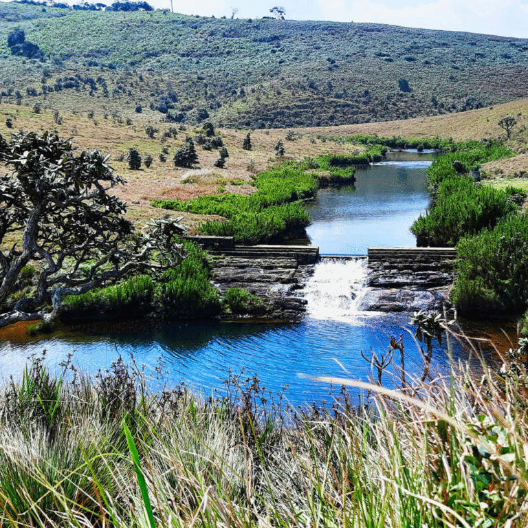 Popular hiking trail leading to Baker’s Falls in Horton Plains