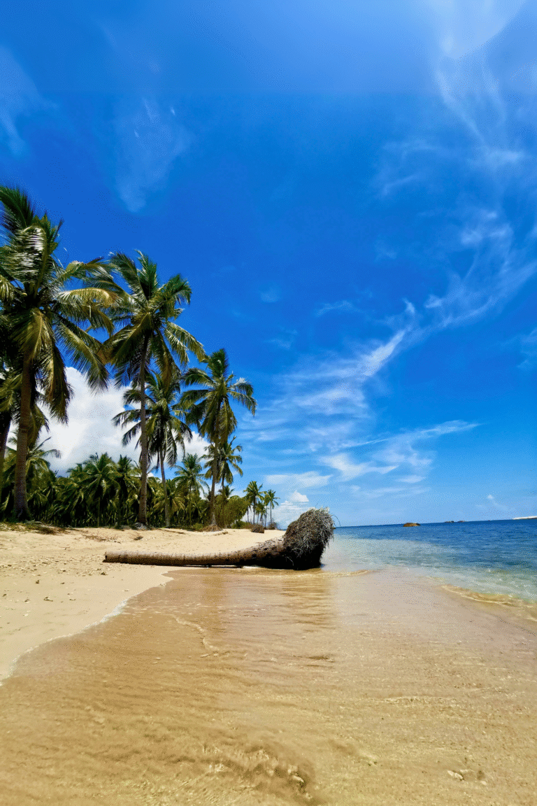 Palm trees lining the white sandy shores of Kalkudah Beach