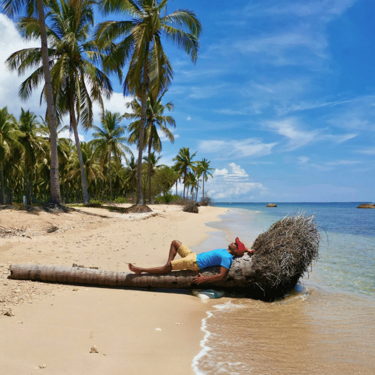 Unspoiled beauty of Kalkudah Beach with lush green palms