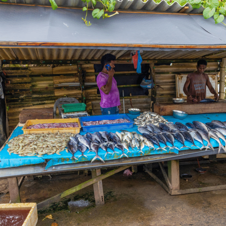 Top Sri Lankan destination for marine wildlife lovers