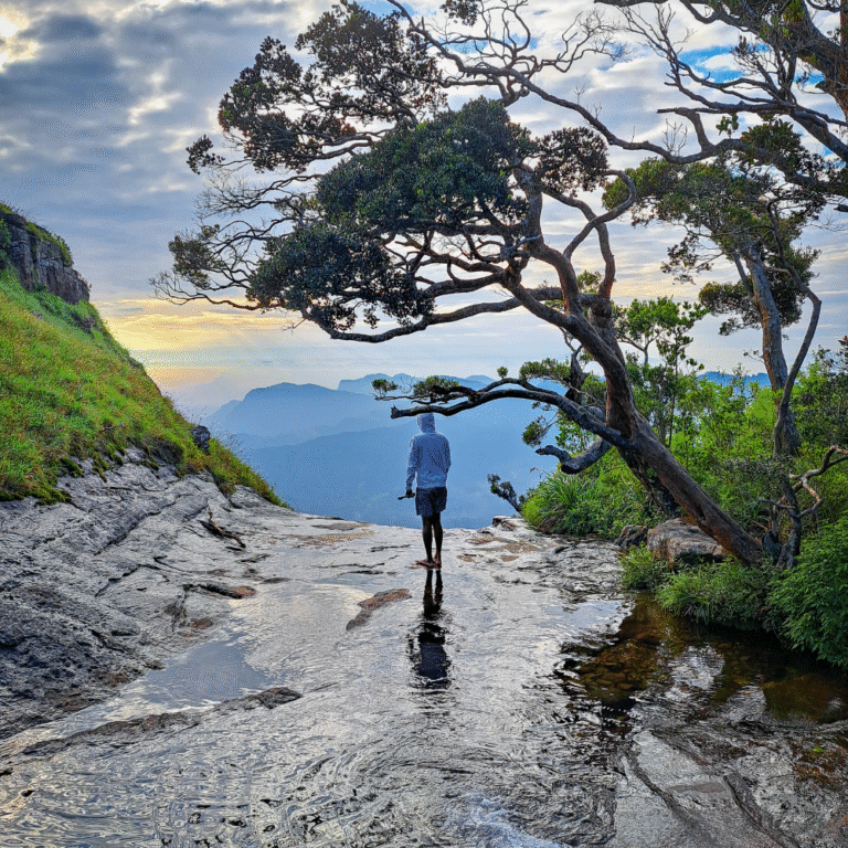 Eco-tourism destination featuring Gerandi Ella in the Gerandigala forest