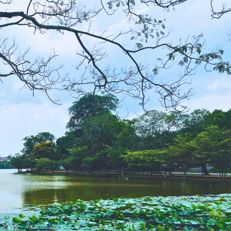 Scenic view of Kurunegala Lake surrounded by greenery