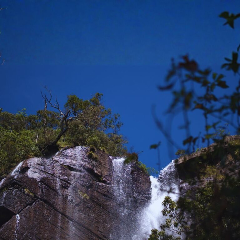 Scenic view of Lover's Leap Waterfall surrounded by greenery