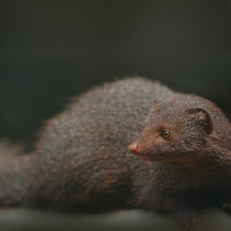 Tourists enjoying a wildlife
