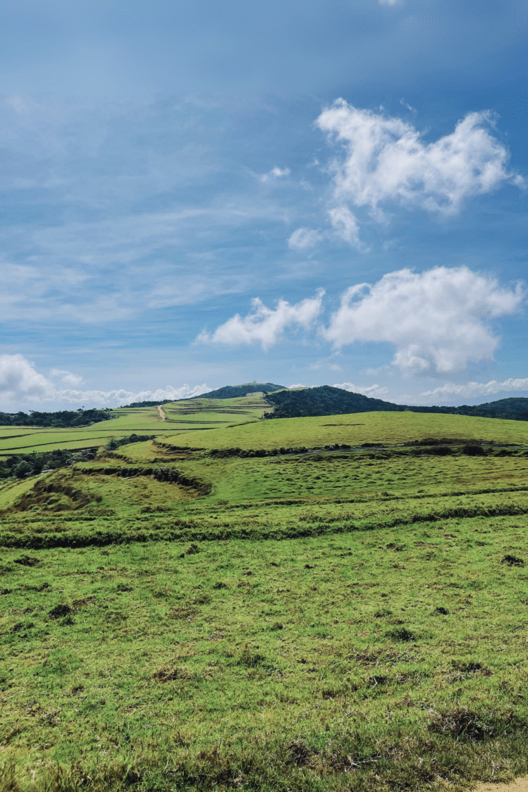 Clear blue sky and misty mountains at Moon Plains viewpoint