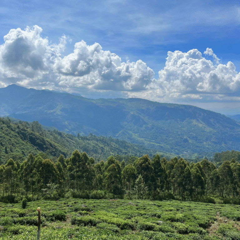 Scenic mountain view from Moon Plains in Nuwara Eliya Sri Lanka