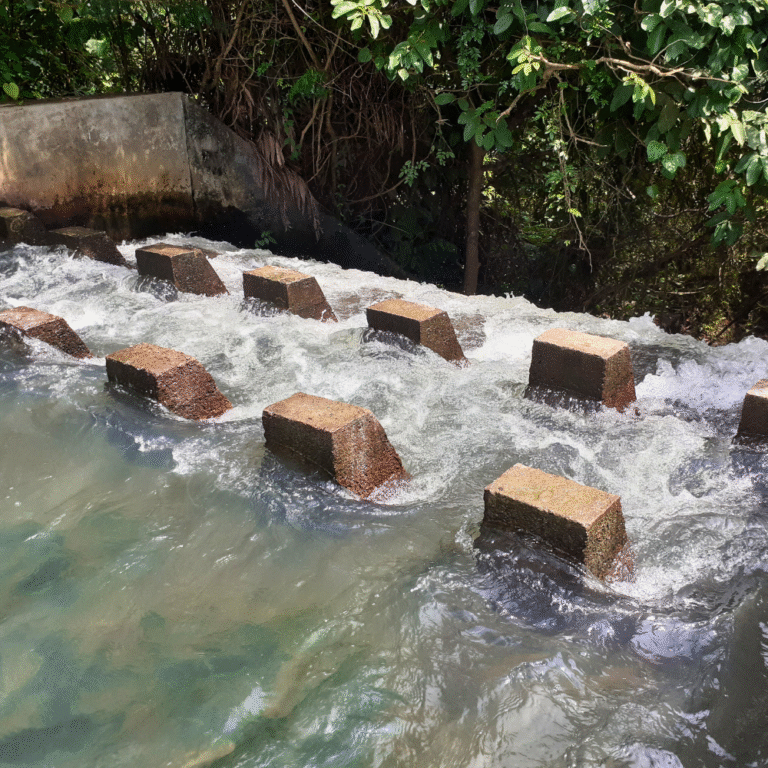 Uncrowded tourist destination – Muruthawela Reservoir Sri Lanka