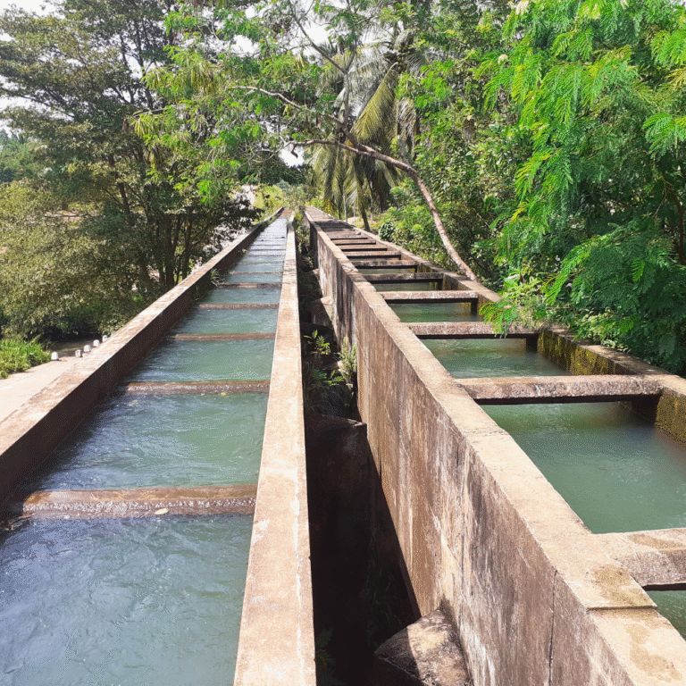 Muruthawela Reservoir – an ideal nature retreat for travelers