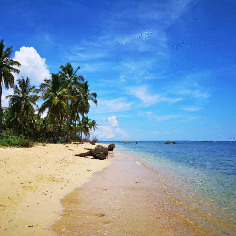 Scenic coastal view of Kalkudah Beach in Batticaloa District