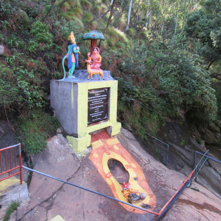 Ancient rock footprints near Seetha Amman Temple believed to be Hanuman's