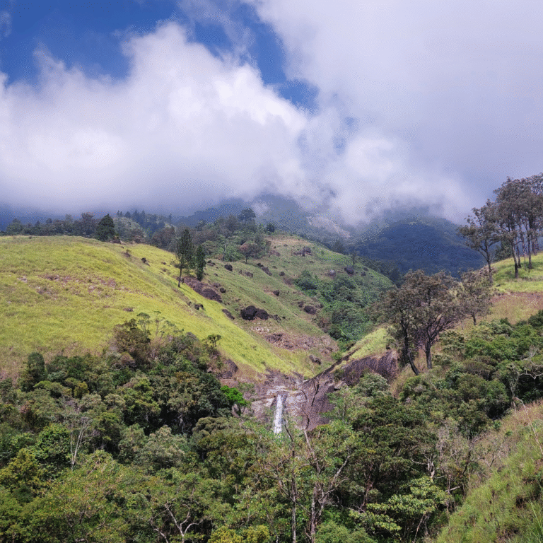 Aerial shot of Lanka Ella flowing through dense jungle terrain