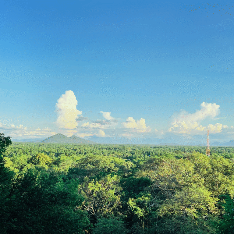 Scenic view from the top of Yapahuwa Rock Fortress