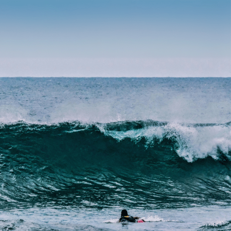 Crystal-clear ocean water and marine biodiversity in Hikkaduwa Bay