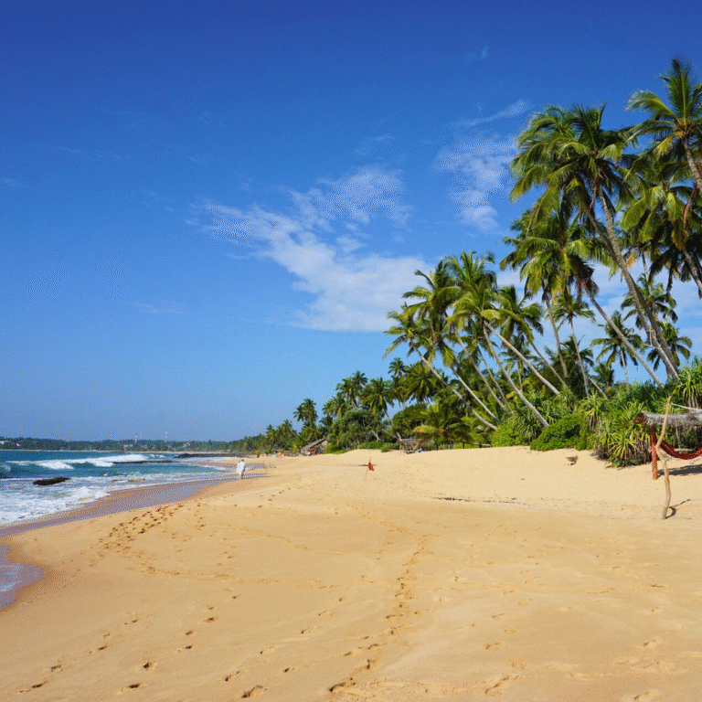 Tropical paradise vibes at Tangalle Beach, Sri Lanka