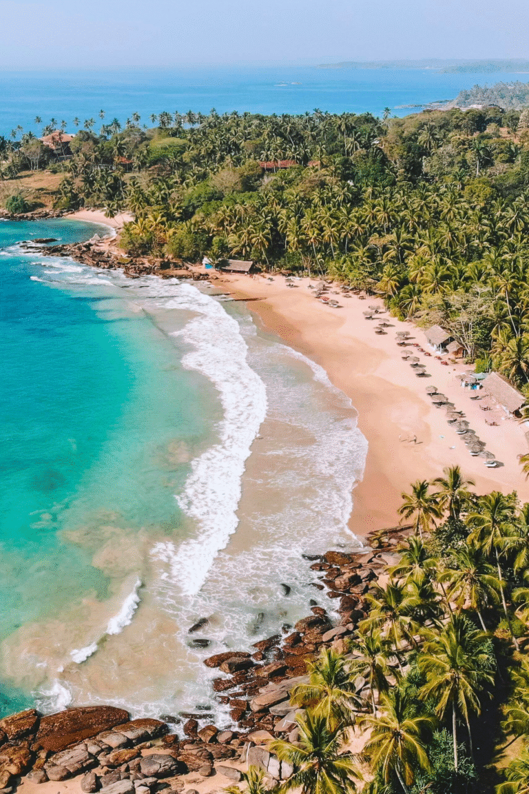 Palm trees lining the sandy shores of Tangalle Beach