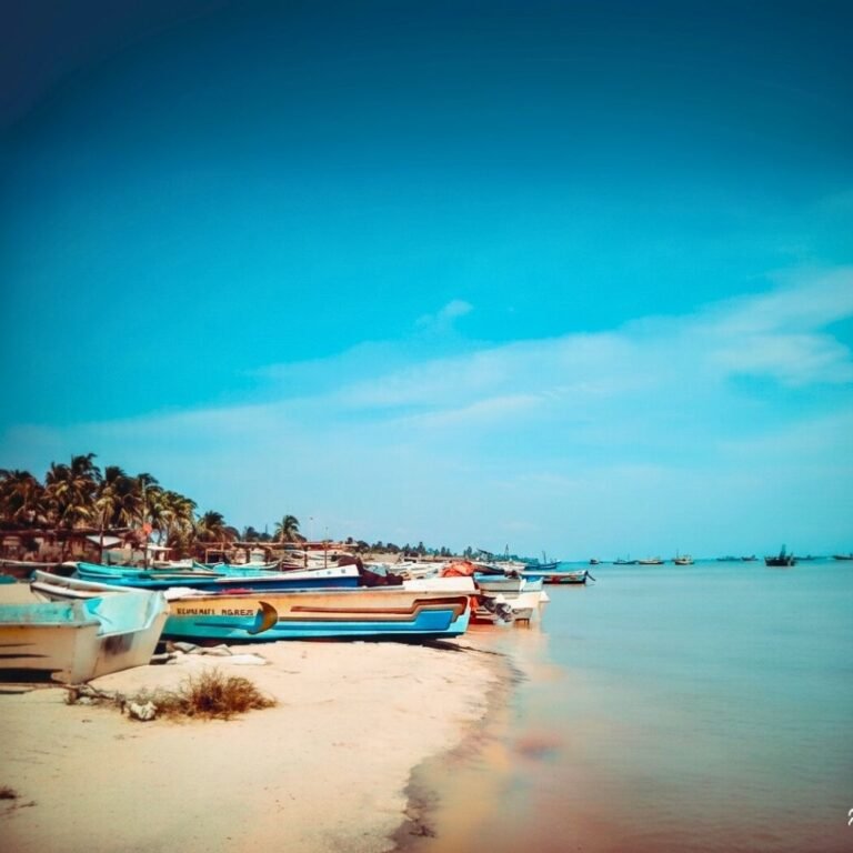 Fishing boats anchored along the Thaleimannar shoreline