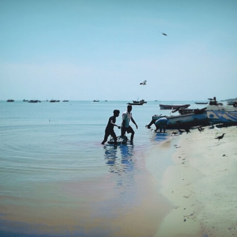 Fishermen working near the Thaleimannar pier in Sri Lanka