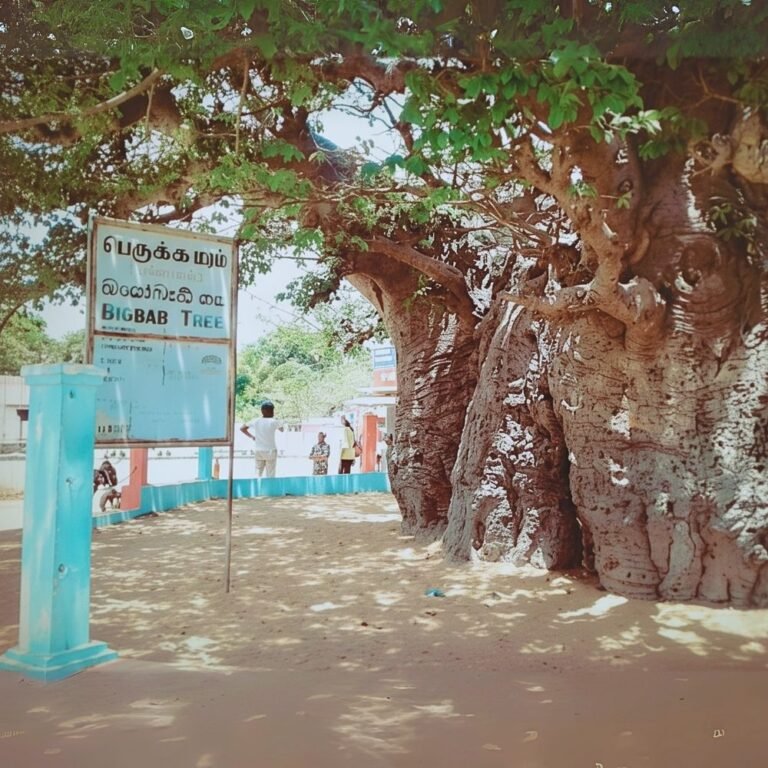 Tourists experience in the northern coast of Thaleimannar