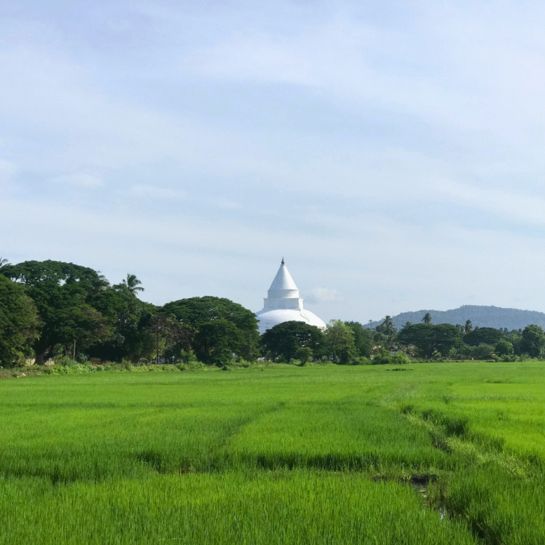 tissamaharama-temple-southern-sri-lanka