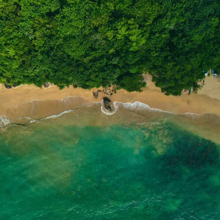 Aerial view of Unawatuna Beach surrounded by lush greenery.