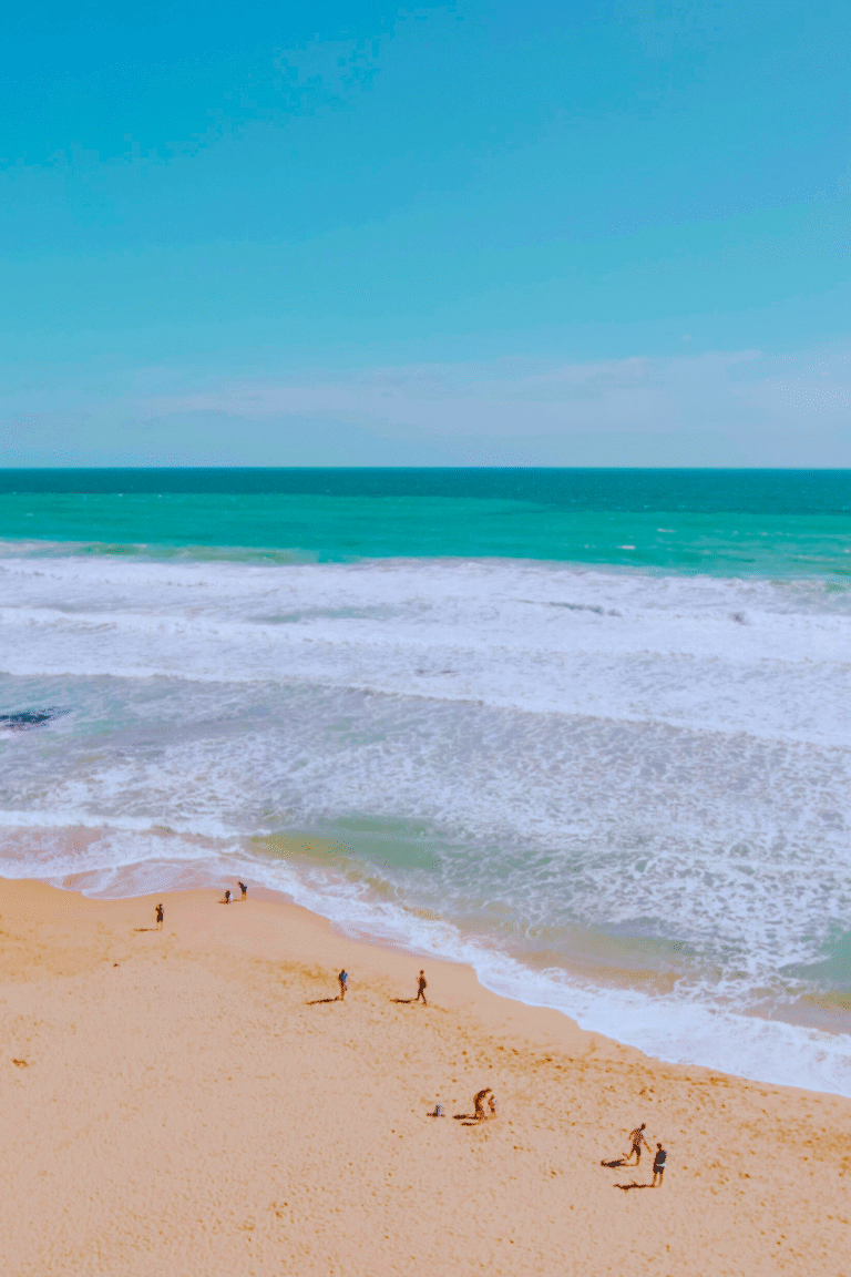 Uppuveli Beach palm trees and clear waters