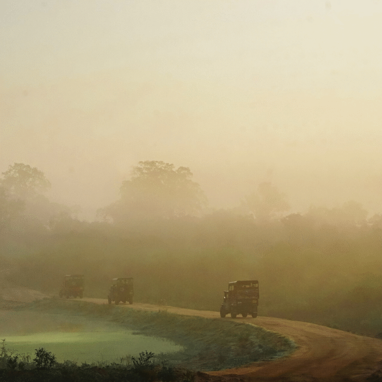 Scenic view of Udawalawe National Park during safari tour