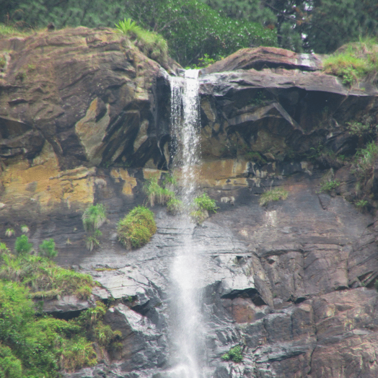 Tallest waterfall in Sri Lanka cascading down a cliff