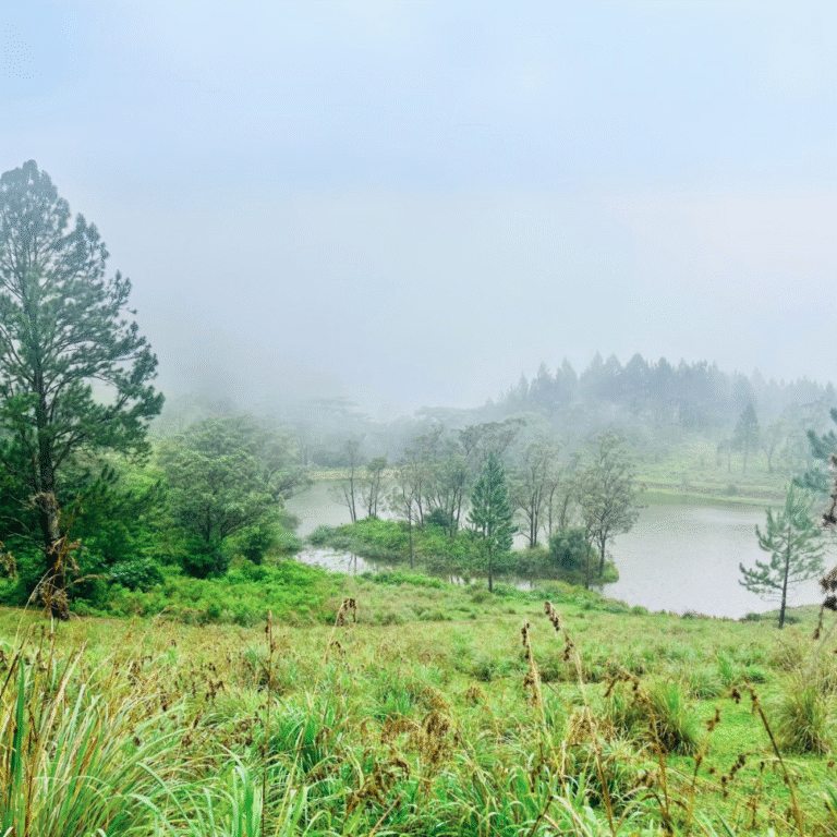 Scenic landscape of Kandy from Bellwood View Point