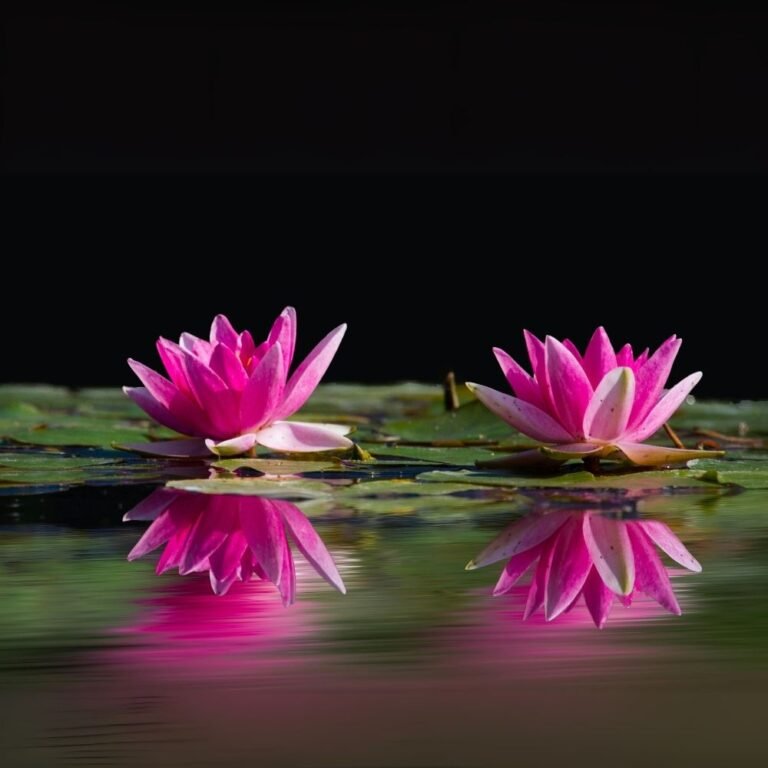 Scenic view of Bundala National Park wetlands in southern Sri Lanka