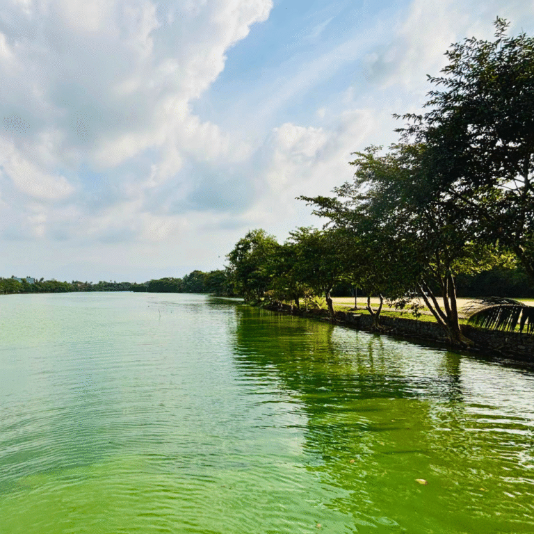 Lunawa Lagoon with reflection of palm trees under a blue sky
