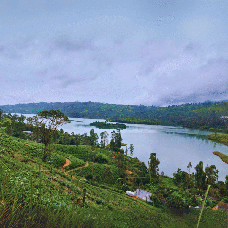 Mountain backdrop with Castlereigh Reservoir waters